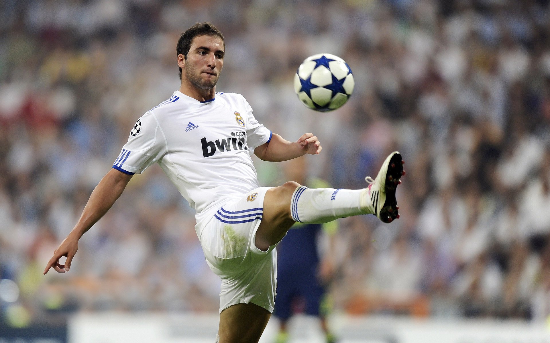 皇家马德里引发争议!,Doinb官方宣布夺冠新规赛场气氛高涨